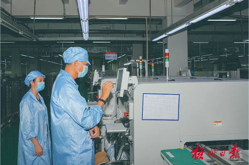 整合资源全力推动提质增量丨梧州市梯度培育优质中小企业亮点成效综述